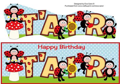 Cute Ladybirds T'air Large Dl