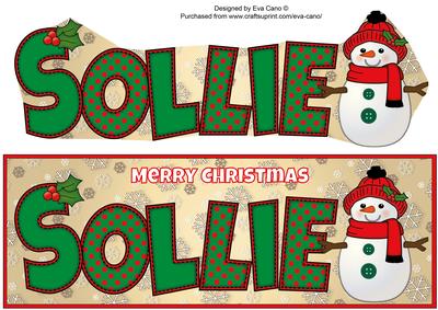 Cute Snowman Sollie Large Dl