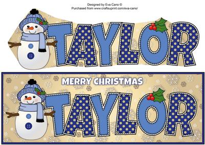 Cute Snowman Taylor Large Dl