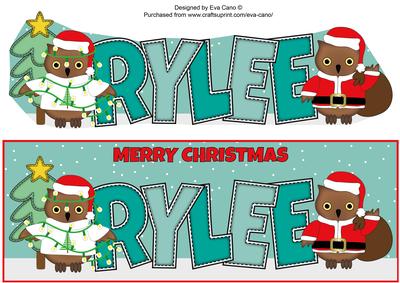 Christmas Owls Rylee Large Dl