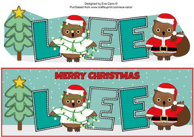 Christmas Owls Lee Large Dl