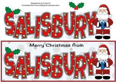 Merry Christmas from Salisbury Large Dl