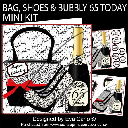 Bag, Shoes and Bubbly 65 Today Mini Kit