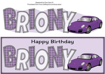Purple Porsche Briony Large Dl