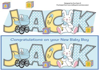 New Baby Boy Jack with Bunny & Pram Large Dl