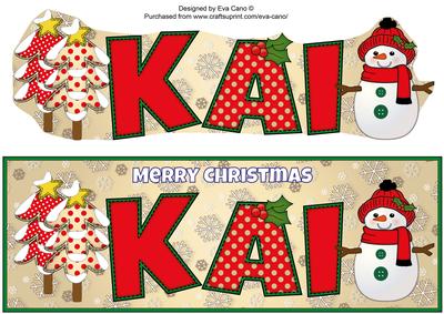 Cute Snowman Kai Large Dl
