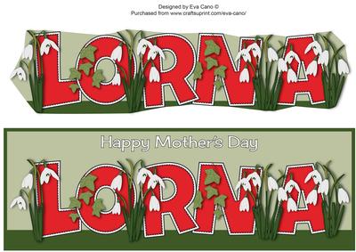 Mothers Day Snowdrops Lorna Large Dl