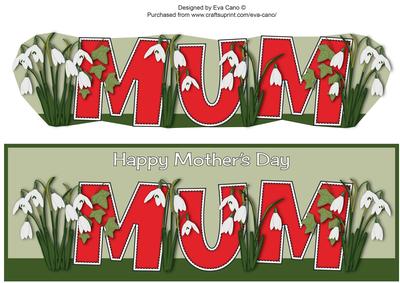 Mothers Day Snowdrops Mum Large Dl