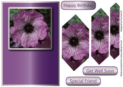 White and Purple Petunia