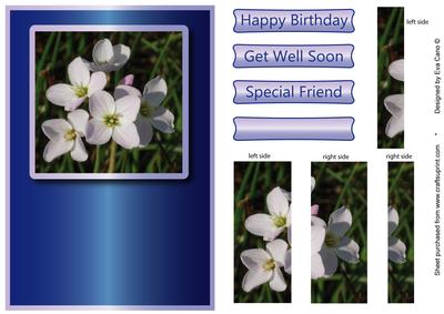 White Wild Flower