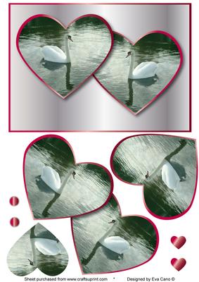 Beautiful Swans in Hearts