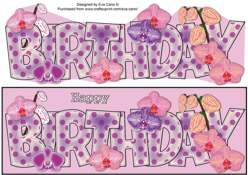 Beautiful Orchids BIRTHDAY large dl