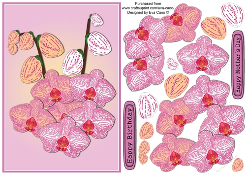 Beautiful Orchids decoupage