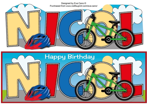 Childrens Bicycle NICOL large dl