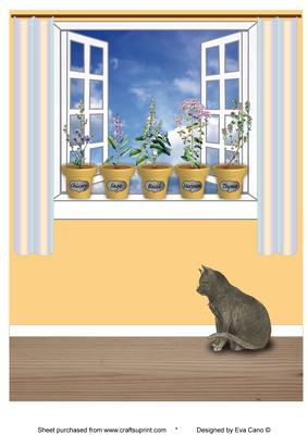 Herb Pots on Window Sill and Cat