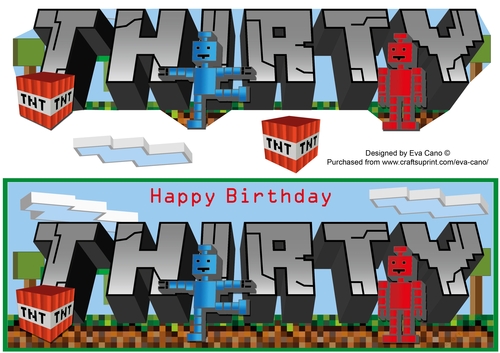 Pixel Gamer THIRTY large dl