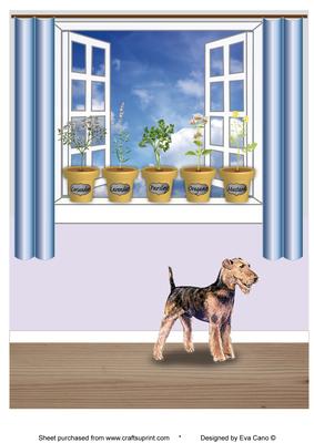 Herb Pots, Window and Terrier A4
