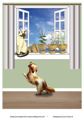 Herbs, Window, Cat and Dog A4