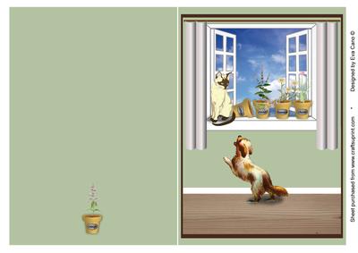 Herbs, Window, Cat and Dog Folded