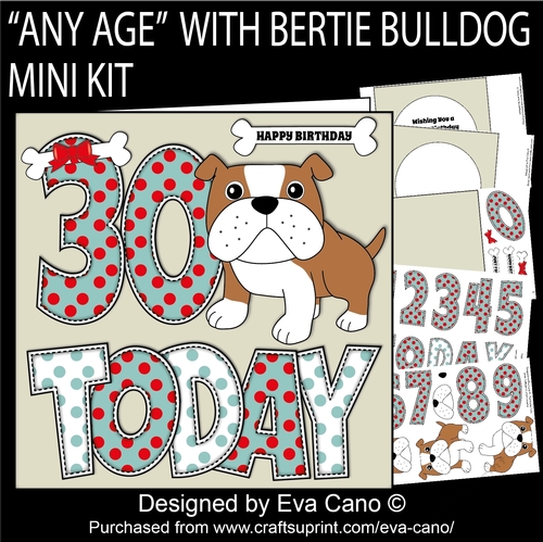 ANY AGE with Bertie Bulldog mini kit