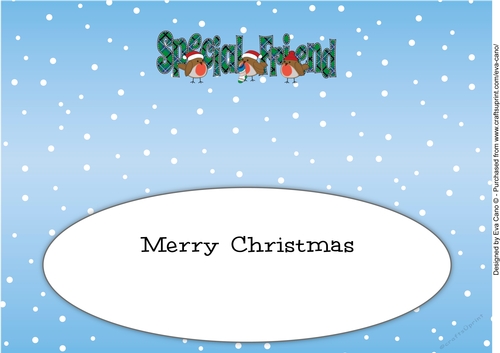 Christmas Robins SPECIAL FRIEND large dl 2 insert