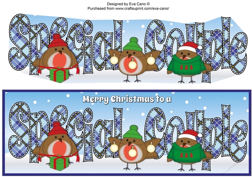 More Christmas Robins SPECIAL COUPLE large dl