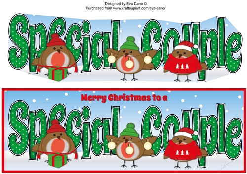More Christmas Robins SPECIAL COUPLE large dl 3