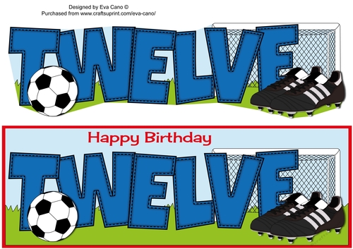 Football Boots & Football TWELVE large dl