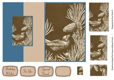 Vintage Bird and Pine Cone Fold Back