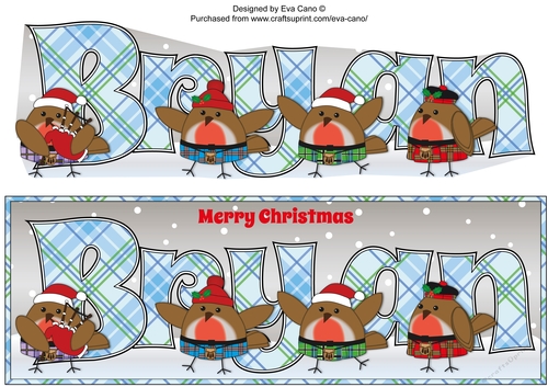 Scottish Christmas Robins BRYAN large dl