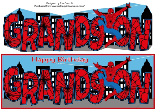 Spiderman GRANDSON large dl 2