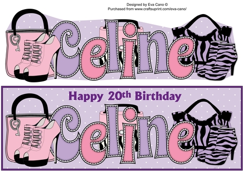 Handbags & Shoes CELINE 20th large dl
