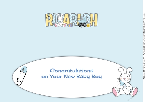 New Baby Boy RUARIDH with bunny & pram large dl insert