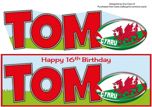 Welsh Rugby TOM 16th large dl