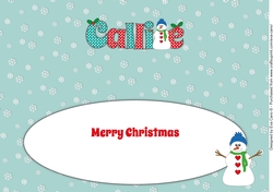 Snowman CALLIE large dl insert