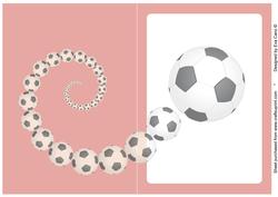 Football Fan Insert Red