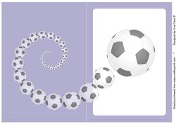 Football Fan Insert Blue