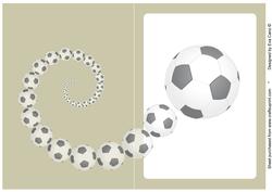 Football Fan Insert Grey Green