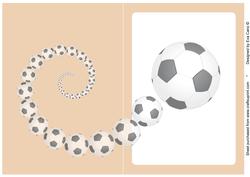 Football Fan Insert Orange