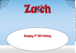 Spiderman ZACH 1st large dl insert