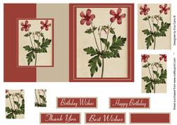 Geranium Flower Fold Back