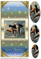 Ducks Vertical Fold Back