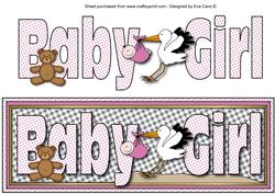 Baby Girl with Stork Large Dl