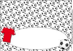 Football Fan Birthday (red) Insert