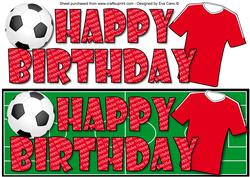 Football Fan Birthday (red 2) Large Dl