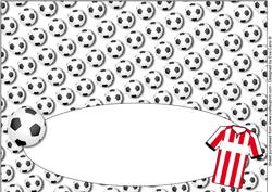 Football Fan Birthday (red & White 3) Insert