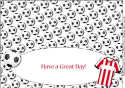 Football Fan Birthday (red & White 3) Insert with Message