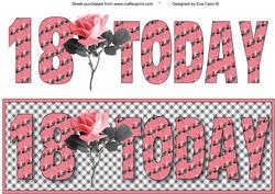 18 Today with Pink Rose Large Dl 2