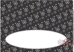 Snowflakes Insert for Large Dl 2