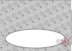 Snowflakes Insert for Large Dl 7